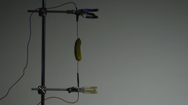Video Reference: light fixture, wire, Person
