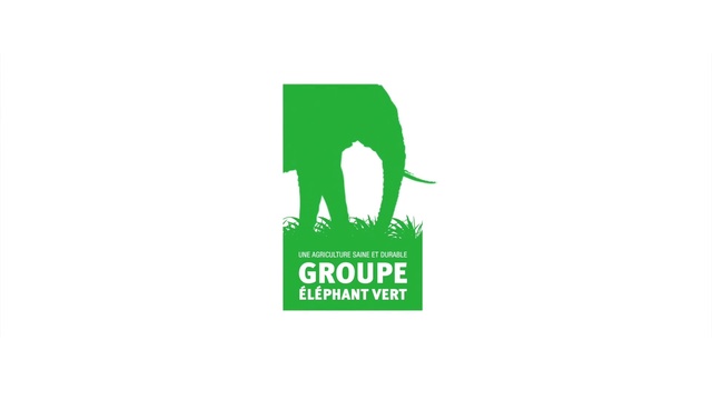 Video Reference: Logo, Green, Brand, Graphics, Design, Font, Artwork, Graphic design, Cartoon, Text, Graphic, Animal, Illustration, Mammal