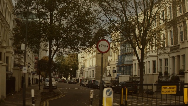 Video Reference: urban area, city, woody plant, tree, town, street, neighbourhood, infrastructure, road, metropolis