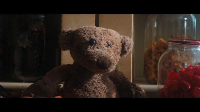 Video Reference: Teddy bear, Stuffed toy, Toy, Snout, Organism, Fur, Plush
