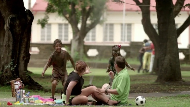 Video Reference: Fun, Play, Grass, Recreation, Leisure, Lawn, Picnic, Spring, Tree, Adaptation