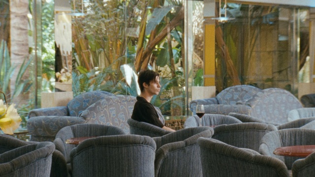 Video Reference: Room, Tree, Furniture, Sitting, Leisure, Interior design, Chair, Plant, Living room