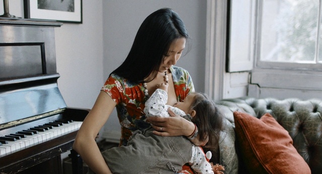 Video Reference: Fur, Sitting, Companion dog, Technology, Long hair, Electronic device, Textile, Photography, Black hair, Fawn