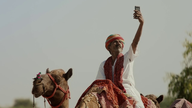 Video Reference: Camel, Arabian camel, Camelid, Pack animal, Temple, Rein, Landscape, Livestock