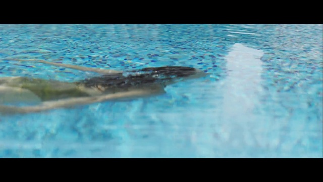Video Reference: Water, Marine mammal, Swimming pool, Swimming, Cetacea, Dolphin, Recreation, Killer whale, Marine biology, Leisure