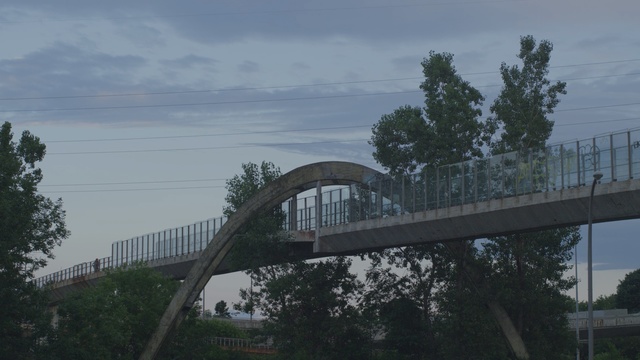 Video Reference: bridge, tree, sky, plant, skyway, arch bridge, fixed link, suspension bridge, overpass, road, Person
