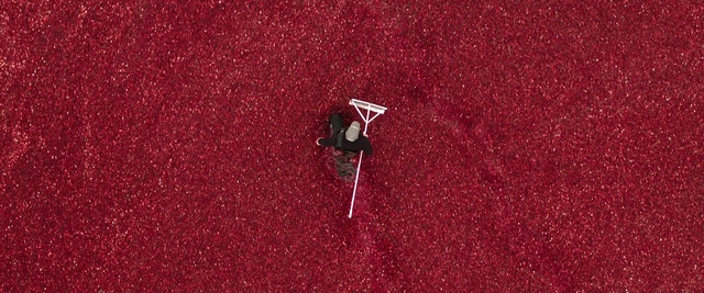 Video Reference: Red, Technology, Carmine