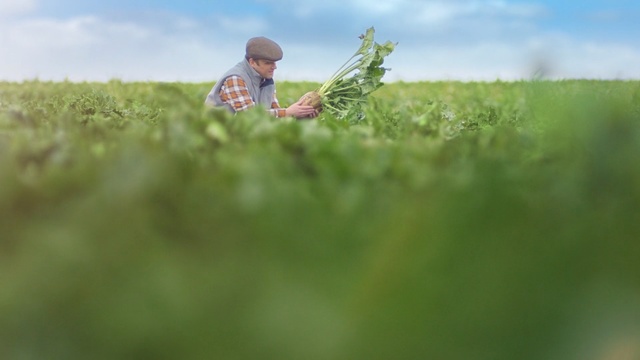 Video Reference: People in nature, Grass, Green, Photograph, Grassland, Field, Natural environment, Grass, Sky, Meadow