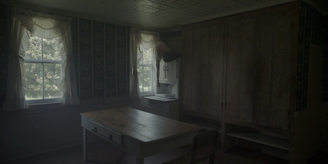Video Reference: room, property, light, architecture, darkness, house, window, home, interior design, wood, Person