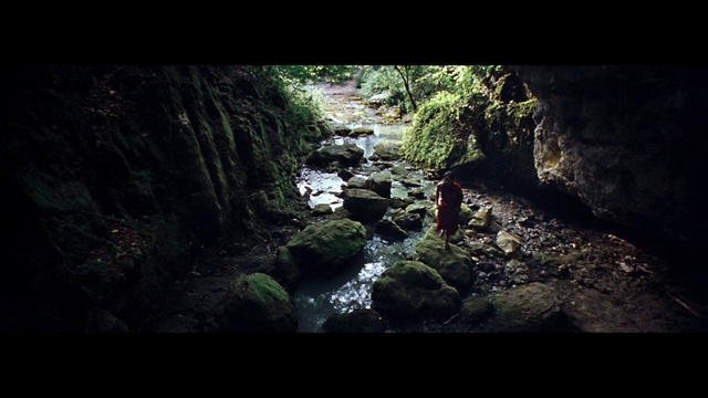 Video Reference: Nature, Water resources, Nature reserve, Watercourse, Vegetation, Water, Natural environment, Wilderness, Natural landscape, Formation