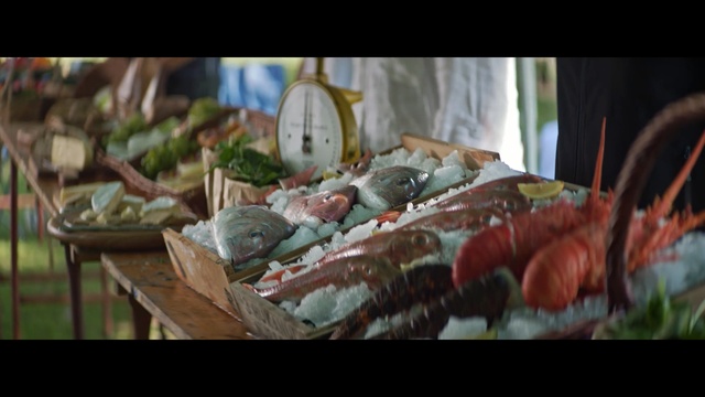 Video Reference: Food, Local food, Painting, Still life, Cuisine, Dish, Photography, Seafood, Still life photography, Art