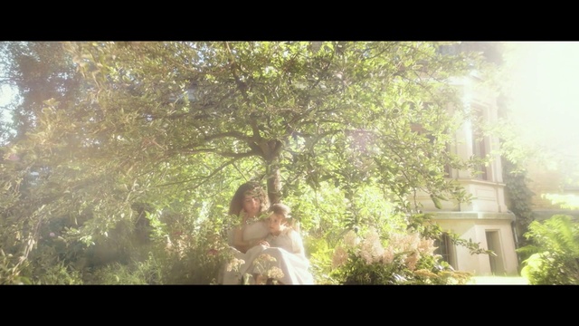 Video Reference: People in nature, Nature, Photograph, Sunlight, Vegetation, Green, Tree, Light, Natural environment, Morning, Person, Window, Photo, Looking, Holding, Sitting, Flower, Man, Standing, Woman, Forest, Old, Table, Vase, Cat, Large, Room, White, Wedding dress, Bride, Wedding, Dress, Kiss, Text