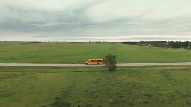 Video Reference: grassland, plain, pasture, field, ecosystem, farm, prairie, land lot, sky, steppe