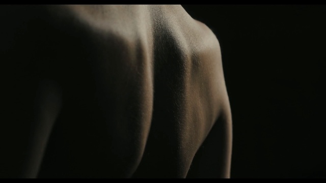 Video Reference: black, close up, photography, light, darkness, macro photography, still life photography, computer wallpaper, black and white, back