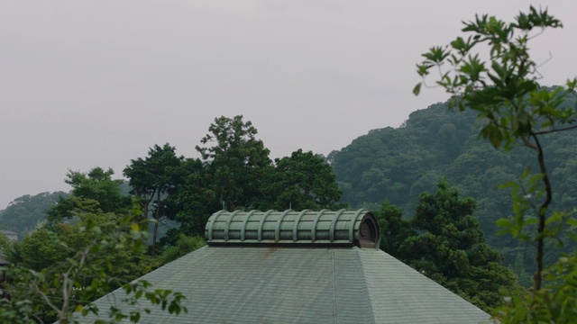 Video Reference: Vegetation, Tree, Hill station, Biome, Botany, Jungle, Architecture, Hill, Landscape, Plant