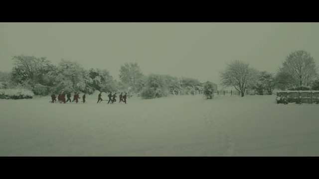 Video Reference: Snow, Winter, Atmospheric phenomenon, Nature, White, Freezing, Tree, Haze, Sky, Morning