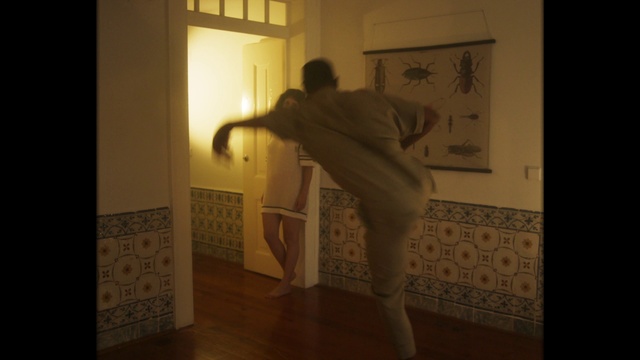 Video Reference: Arm, Standing, Room, Leg, Human body, Photography, Performance art, Floor, Art