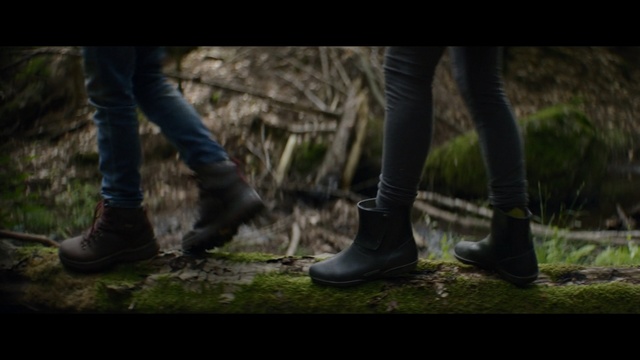 Video Reference: footwear, tree, woody plant, shoe, grass, photography, forest, plant, woodland, darkness, Person