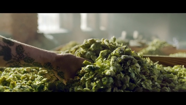 Video Reference: Plant, Leaf, Food, Herb, Leaf vegetable, Vegetable, Hemp family, Vegetarian food, Recipe, Spinach