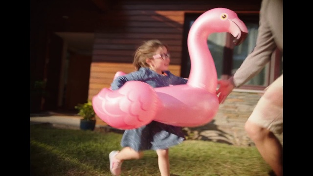 Video Reference: Pink, Flamingo, Bird, Greater flamingo, Water bird, Neck