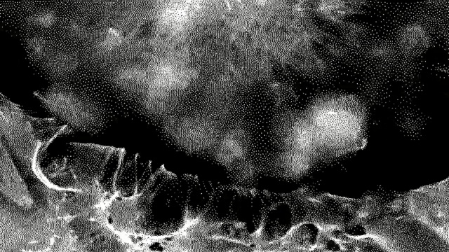 Video Reference: Black, Black-and-white, Monochrome, Monochrome photography, Water, Tree, Stock photography, Sky, Atmosphere, Design