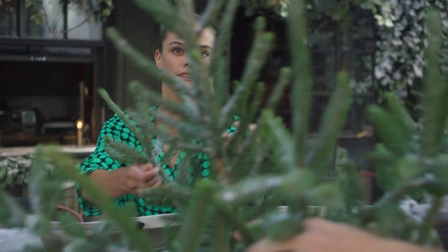 Video Reference: Vegetation, Natural environment, Leaf, Plant, Adaptation, Terrestrial plant, Botany, Grass family, Organism, Jungle