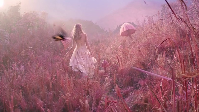 Video Reference: Plant, Flower, Atmosphere, Ecoregion, People in nature, Branch, Flash photography, Sky, Dress, Grass