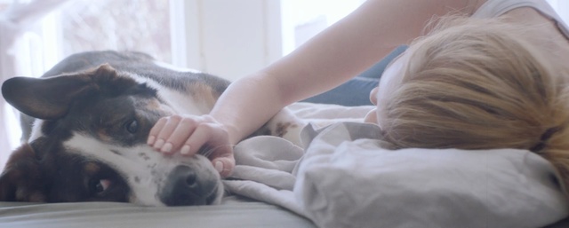 Video Reference: Canidae, Dog, Paw, Companion dog, Snout, Puppy love, Hand, Leg, Carnivore, Ear