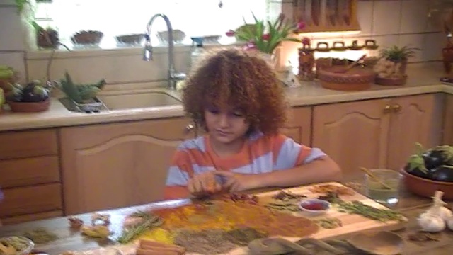 Video Reference: Plant, Table, Houseplant, Kitchen sink, Tableware, Cabinetry, Countertop, Sink, Tap, Flowerpot