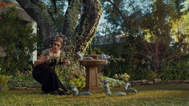 Video Reference: Plant, Tree, Flower, People in nature, Fawn, Leisure, Grass, Trunk, Happy, Shrub