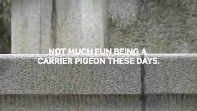 Video Reference: wall, granite, material, wood, concrete, stone wall, fence, grass, brick, brickwork