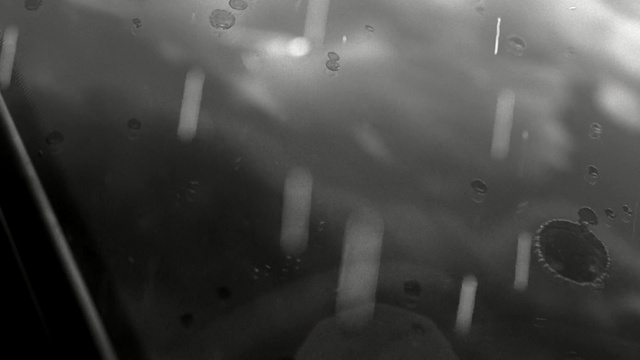 Video Reference: Black, White, Monochrome photography, Photograph, Black-and-white, Monochrome, Water, Snapshot, Photography, Atmosphere