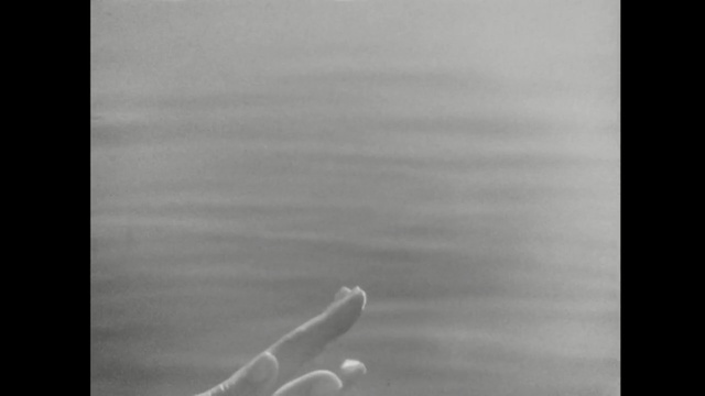 Video Reference: sea, ocean, water