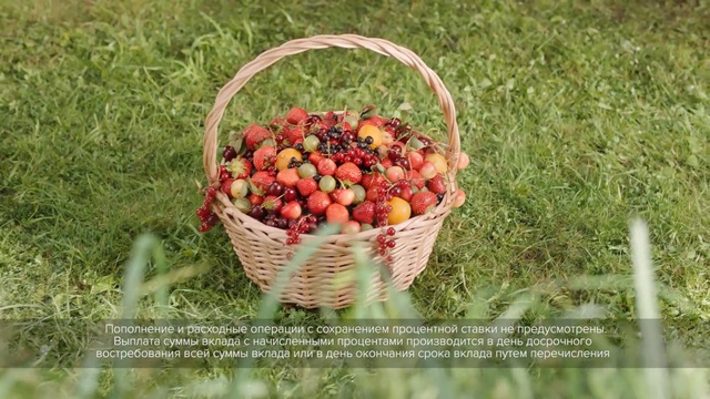 Video Reference: fruit, produce, local food, grass, natural foods, basket, strawberries, berry, food
