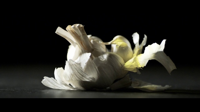 Video Reference: White, Still life photography, Petal, Plant, Black-and-white, Flower, Monochrome photography, Photography, Still life, Darkness