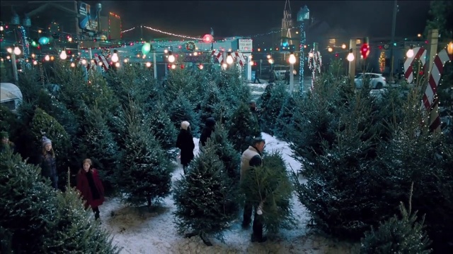 Video Reference: Tree, Spruce, Crowd, Christmas tree, Fir, Conifer, Christmas, Snow, Woody plant, Pine family