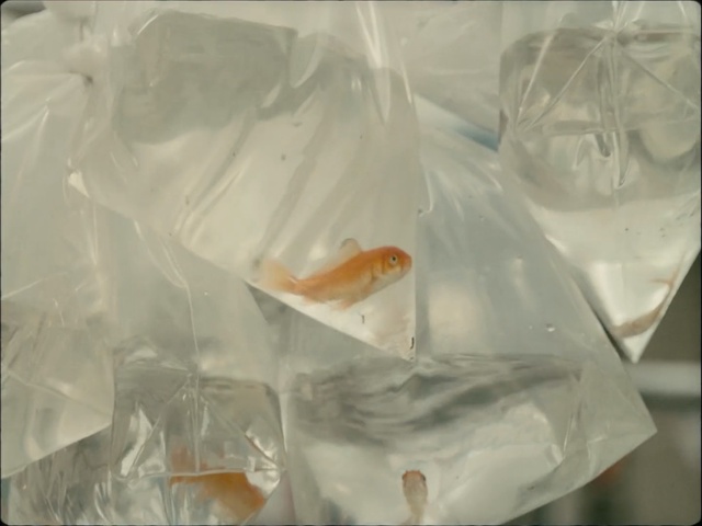 Video Reference: white, material