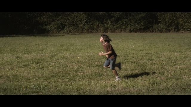 Video Reference: Grass, Natural environment, Grassland, Meadow, Pasture, Grass, Lawn, Fun, Canidae, Tree