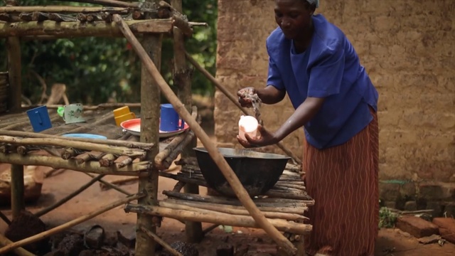 Video Reference: recreation, tree