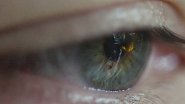 Video Reference: Iris, Eye, Close-up, Eyelash, Organ, Eyebrow, Macro photography, Photography