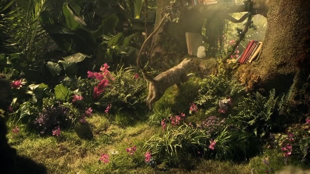 Video Reference: vegetation, ecosystem, flora, plant, garden, grass, flower, landscape, sunlight, shrub
