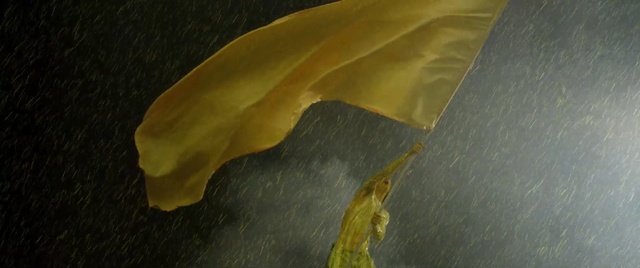 Video Reference: Yellow, Geology, Terrain, Geological phenomenon, Painting, Rock, Space