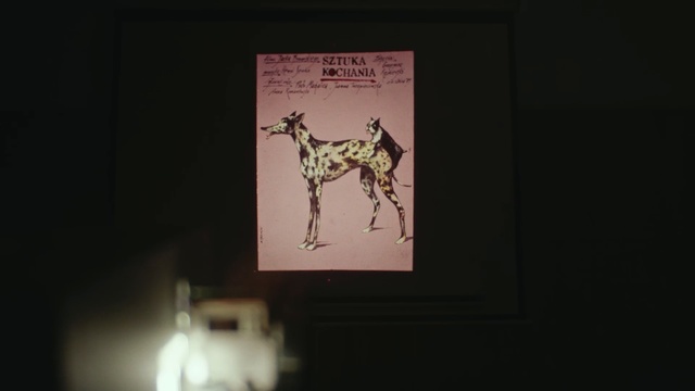 Video Reference: Giraffe, Giraffidae, Font, Adaptation, Fawn, Art, Wildlife, Visual arts, Illustration, Person