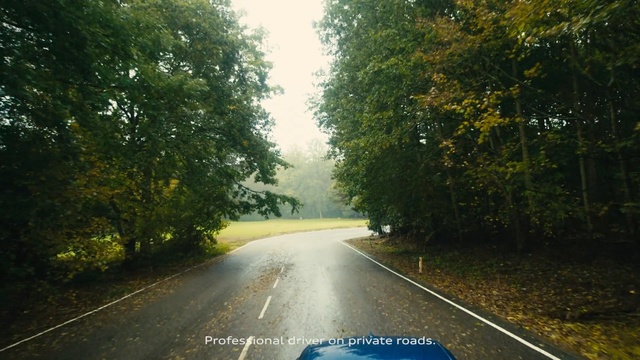 Video Reference: road, lane, nature, path, tree, infrastructure, leaf, morning, sky, asphalt