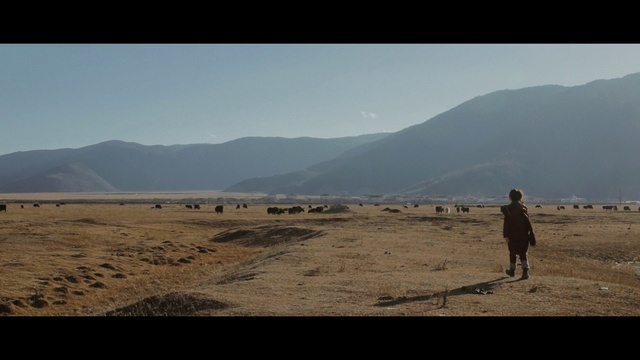 Video Reference: Sky, Natural environment, Ecoregion, Landscape, Sand, Horizon, Cloud, Desert, Plain, Mountain