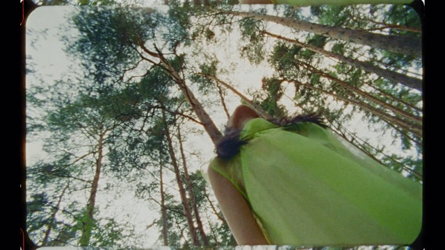 Video Reference: Green, Tree, Leaf, Branch, Plant, Plant stem