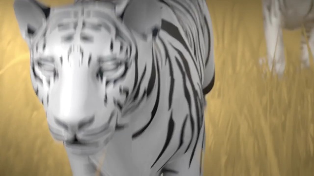 Video Reference: face, white, clothing, tiger, mammal, vertebrate, wildlife, cat like mammal, head, black and white