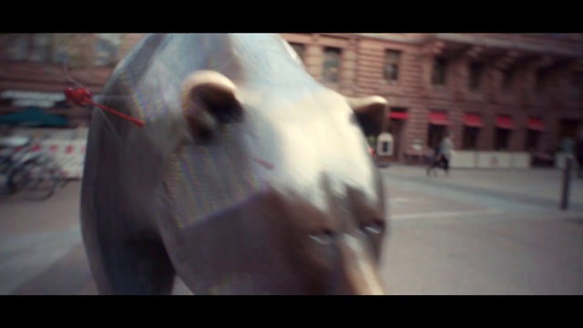 Video Reference: Nose, Snapshot, Snout, Photography, Horse