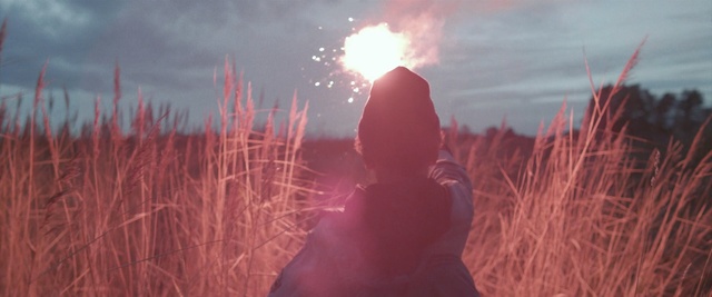 Video Reference: sky, ecosystem, grass family, grass, sunlight, ecoregion, screenshot, girl, computer wallpaper