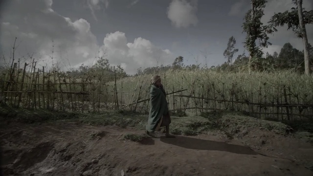 Video Reference: sky, screenshot, soil, tree, cloud, landscape, forest, grass